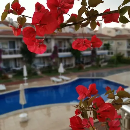 公寓 Sunset Beach Club 费特希耶